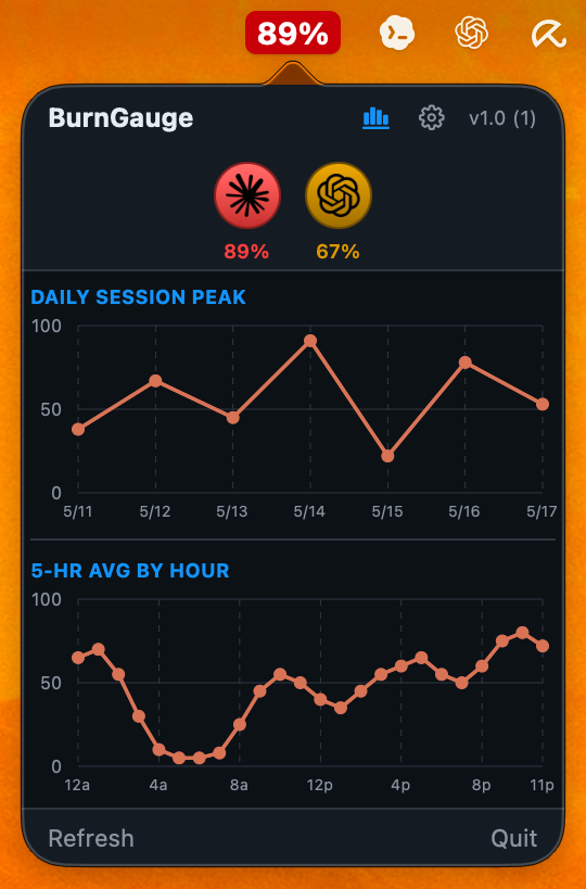 BurnGauge 30-day history charts: daily session peak and average usage by hour of day.